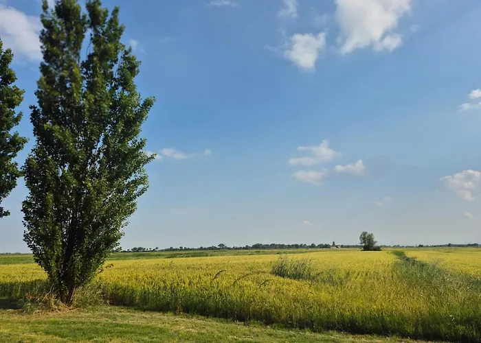 Trava 3* Portoverrara